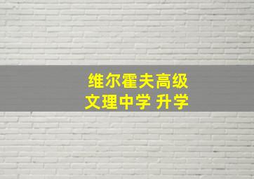 维尔霍夫高级文理中学 升学